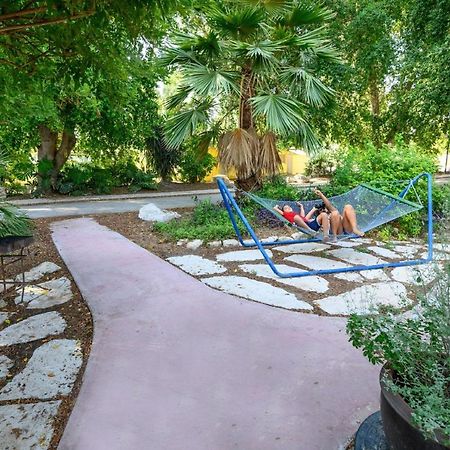 Jordan Valley Birding Lodge Kefar Ruppin Bagian luar foto