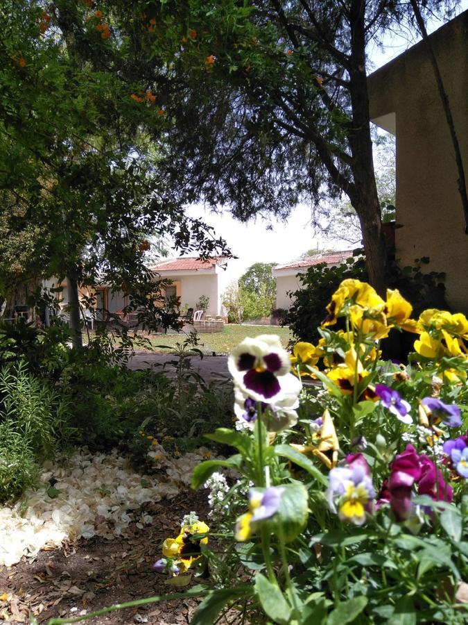 Jordan Valley Birding Lodge Kefar Ruppin Bagian luar foto